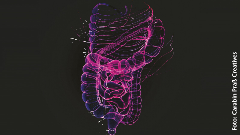 Prof. Dr. Andreas Lambertz & Prof. Dr. Hermann Wasmuth. „Vorsorge und Therapie bei Darmerkrankungen – Das neue Darmzentrum im Luisenhospital Aachen“.