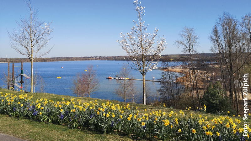 Tag der offenen Tür & Chlodwiglauf im Seepark Zülpich.