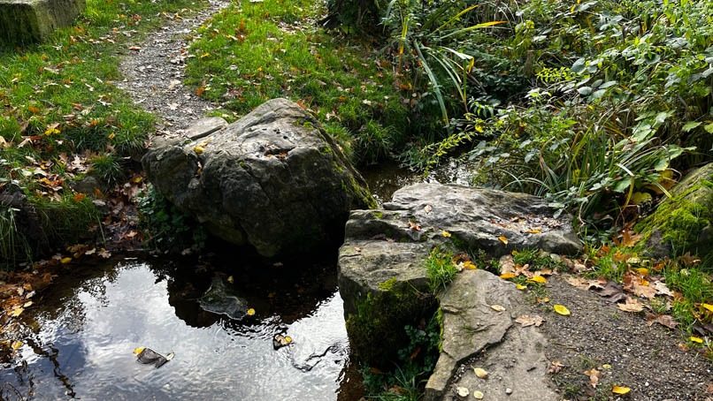 Spuren von Wassermann, Pau (C) Veranstalter