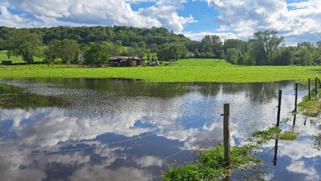 Soers (C) Veranstalter