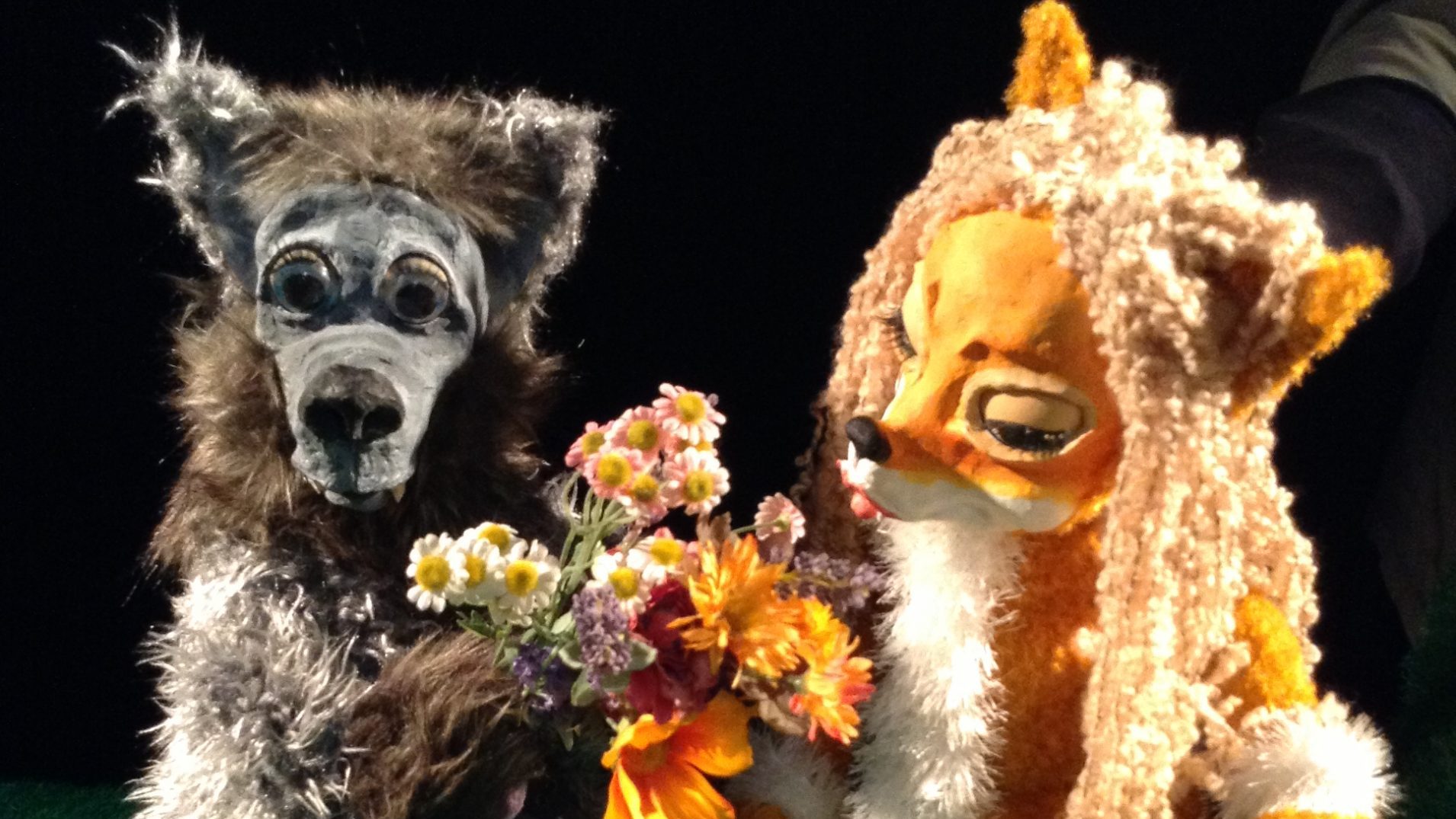 699c413bc97e0-DS1SDs