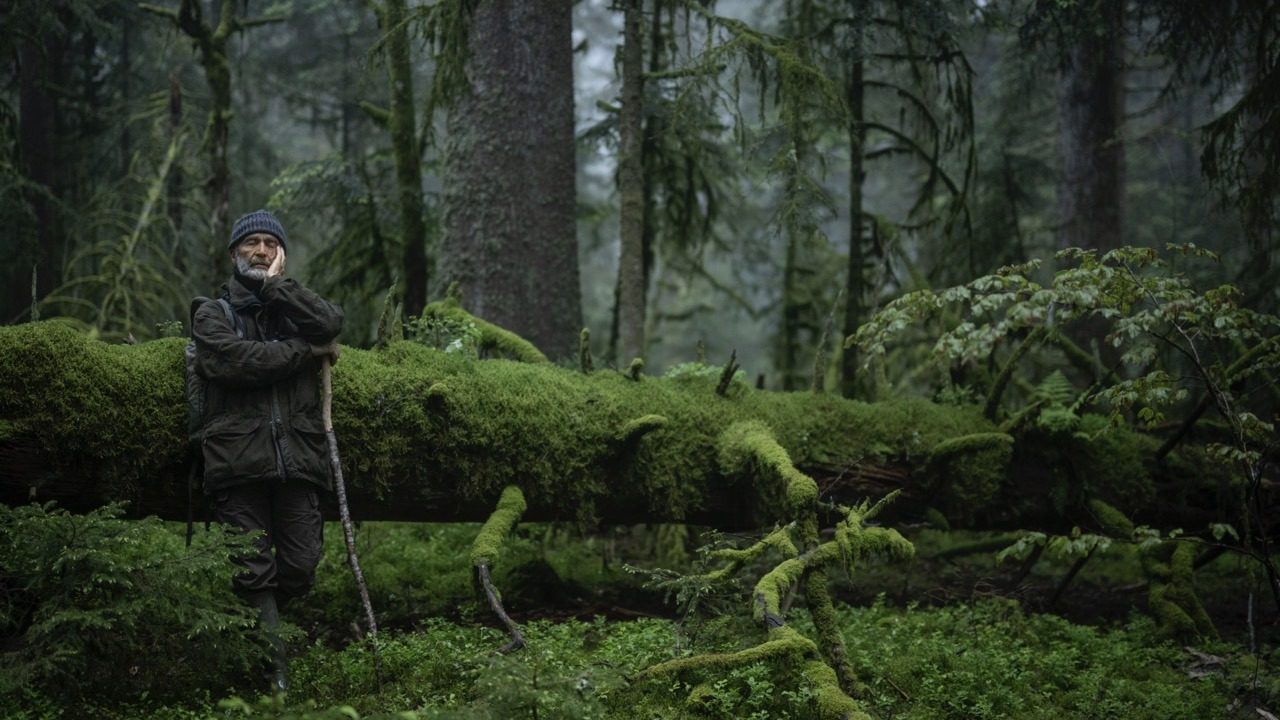 Dutch Mountain Film Festivall. „Le Chant des forêts – Das Flüstern der Wälder“.